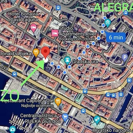 Alegra Center רייקה
