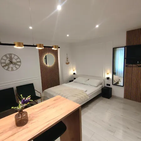 Alegra Center דירה רייקה