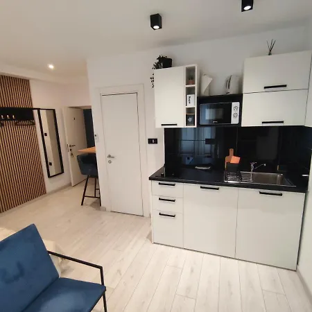 Alegra Center Apartment Rijeka